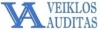 Veiklos auditas, UAB
