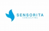 Sensorita, UAB