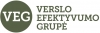 Verslo efektyvumo grupė, UAB