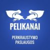 Pelikanai, MB