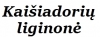 Kaišiadorių ligoninė, VšĮ