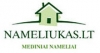 Nameliukas, UAB
