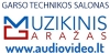 Muzikinis garažas, D. Kubiliaus firma