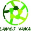 Laimės vaikai, VšĮ
