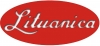 Fondas "Lituanica", VšĮ
