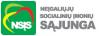 Neįgaliųjų socialinių įmonių sąjunga, VšĮ