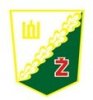 Žalgiris, Lietuvos sporto draugija