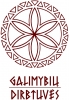 Galimybių dirbtuvės, VšĮ