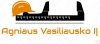 Agniaus Vasiliausko IĮ