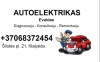 Autoelektrikas Evaldas