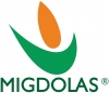 Migdolo baldai, UAB