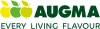 Augma, UAB