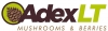UAB "ADEX LT"
