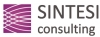 Sintesi Consulting, UAB