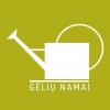 Gėlių namai, MB