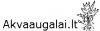 Julijus Losevičius individuali veikla
