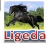 Ligeda, UAB