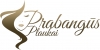 Prabangūs plaukai, UAB