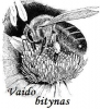 Vaido Bitynas