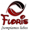 Grupė "Floris", UAB