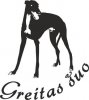 UAB Greitas šuo