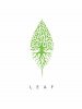 UAB LEAF cafe