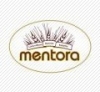 Mentora, G. Bašinsko Firma