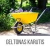 Geltonas karutis, MB